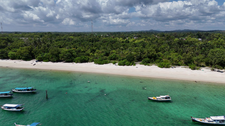 Beach | Sea | Jungle